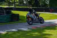 Middle Group Silver_Grey Bikes